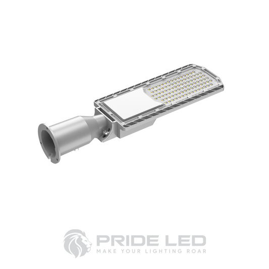 Pride LED Streetlight